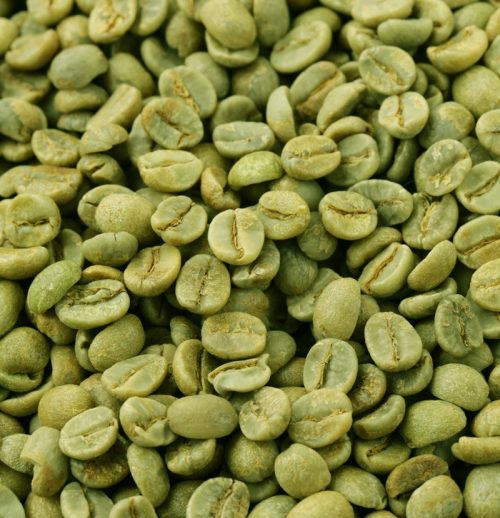 Zelená plantážna káva Brazil Santos 100% Arabika, 500g